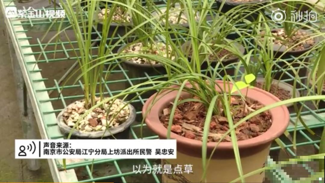 千万不要动我的花,以免赔的倾家荡产! 千万不要动我的花,以免赔的倾家荡产!