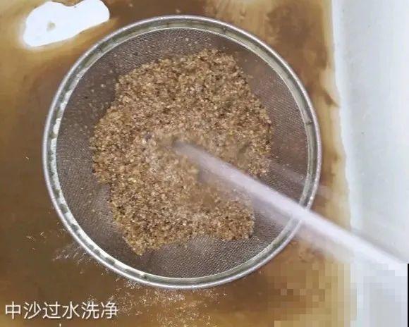 长寿花超全大养护，养爆盆的秘密，全在这里！