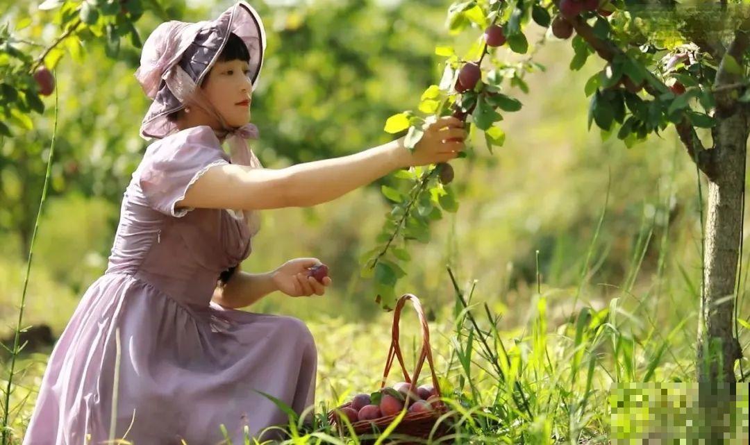 3年的时间，老院子变成大花园，过上塔莎奶奶一样的日子！