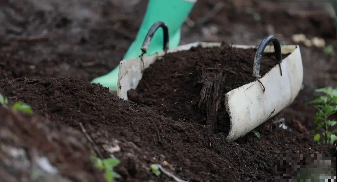 3年的时间，老院子变成大花园，过上塔莎奶奶一样的日子！