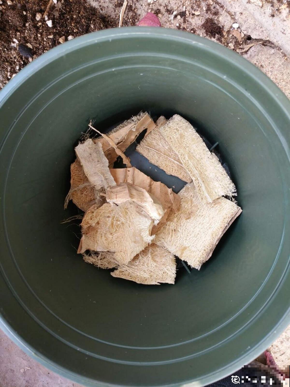 花盆底部垫点小东西，不漏土不闷根，植物长得特壮