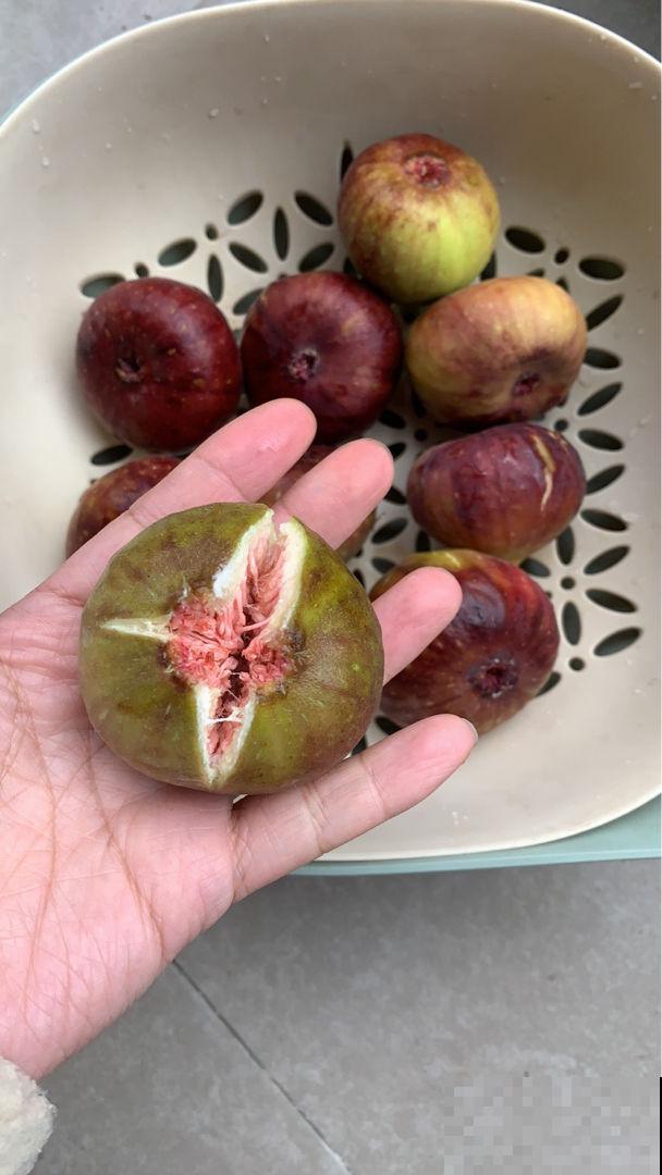 冬天又干又冷，吃6种食物，润肺止咳效果好