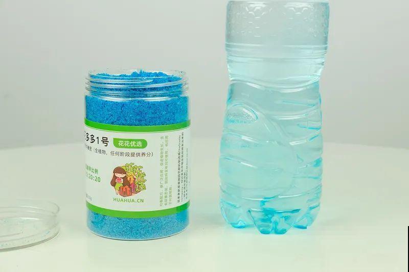 长寿花超全大养护，养爆盆的秘密，全在这里！