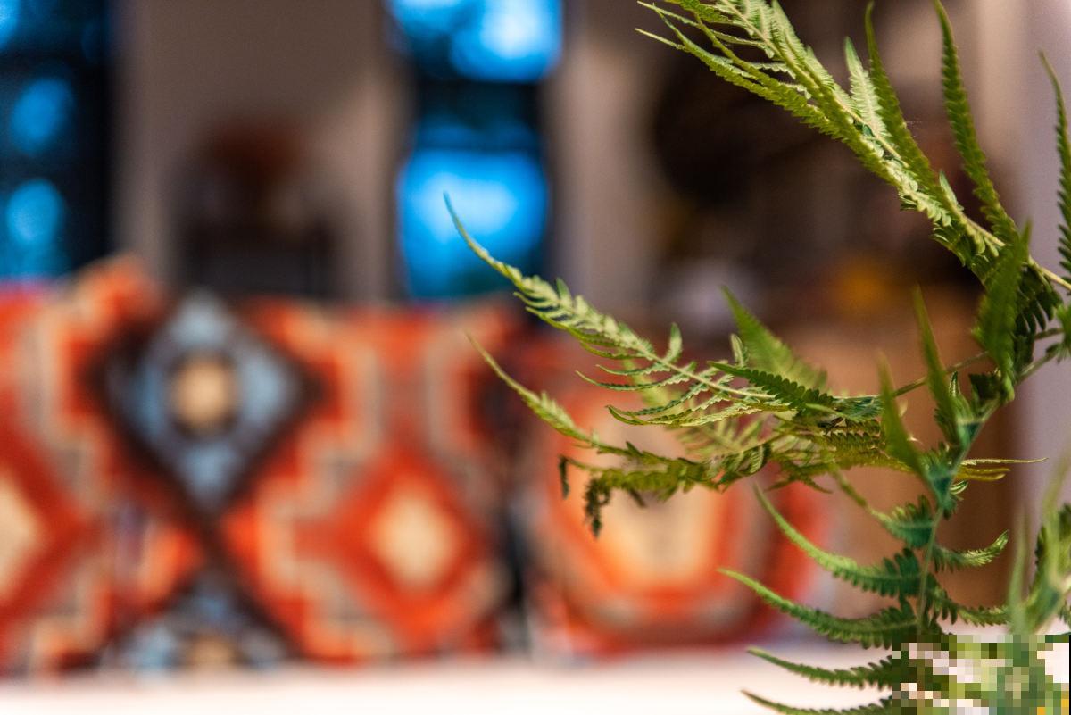 北阳台光照差，就养这5种植物，颜值超高还耐阴！