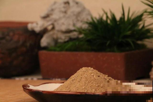 春天给花分株，1盆变成多盆，很快爆盆