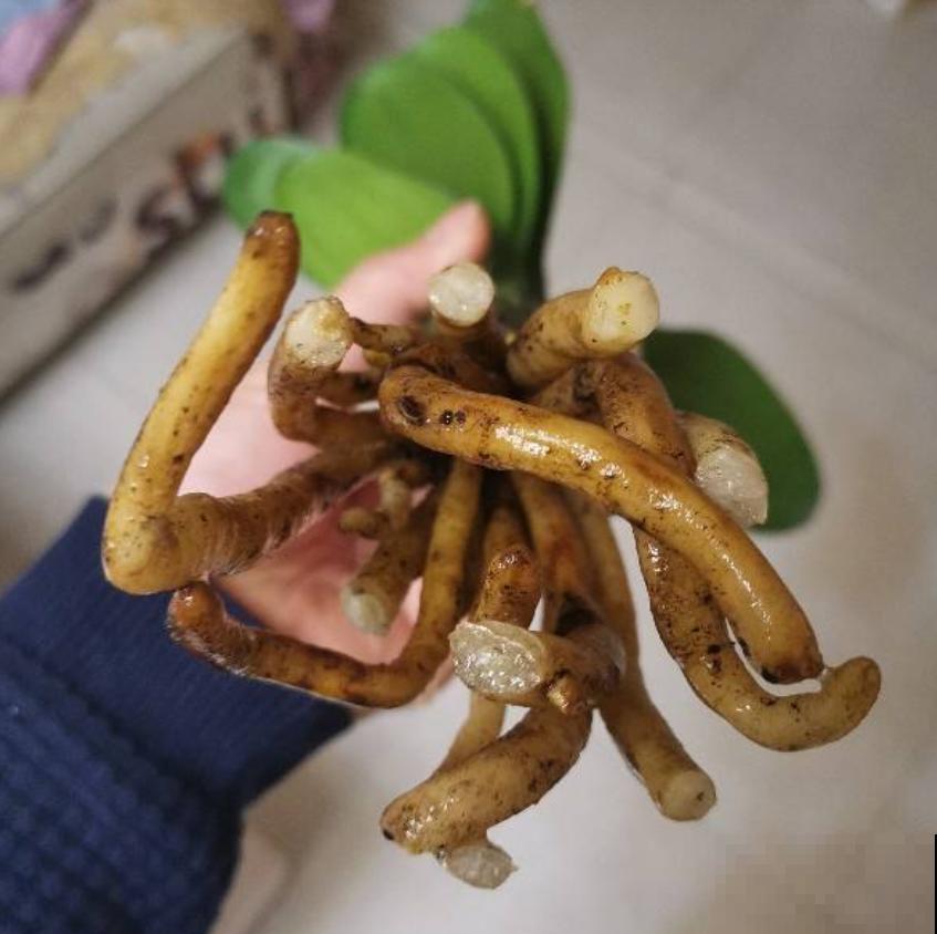 那些被你浪费的“珍宝”,快去捡回来,否则错过“一个亿” 那些被你浪费的“珍宝”,快去捡回来,否则错过“一个亿”