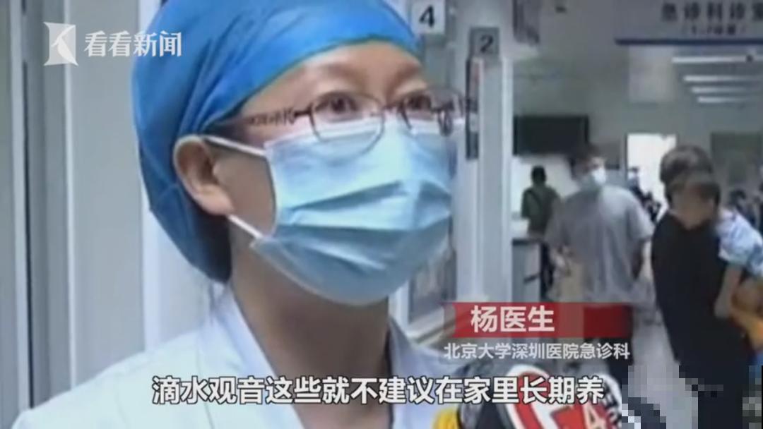 医院铁树结果，却被摘走30颗，园丁师傅吓坏了！