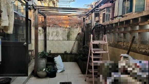 5年的花园，消失只要3天，全没了……