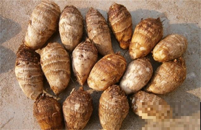 买芋头记住4要点，个个都好吃，又甜又糯特好吃