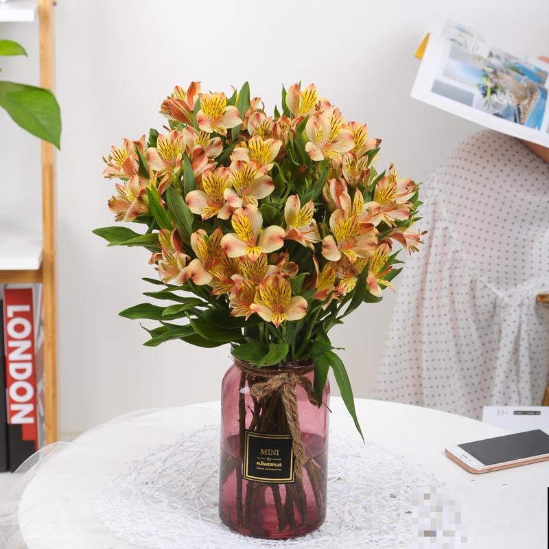 5种花不能养在卧室，香味太浓，影响睡眠