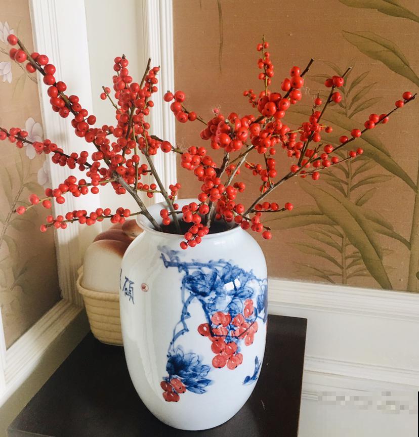 家里养4种花，气质格调一样不少，就是贵！