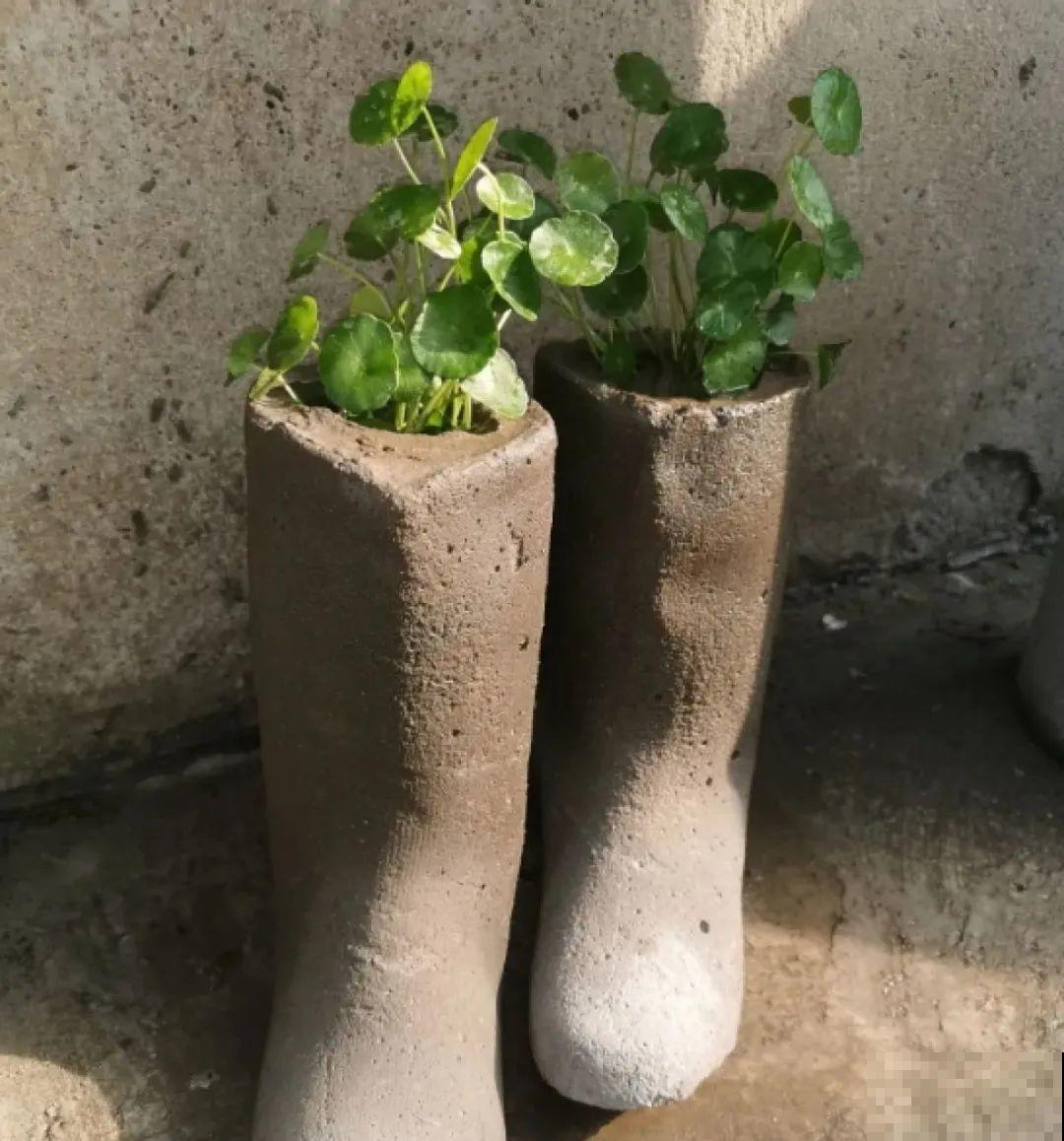 选不对花盆，啥花都被你养死了！