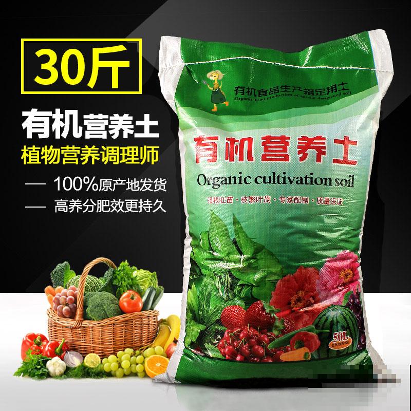 花市看到一盆花,一盆开了几十朵花,才只卖十几块钱! 花市看到一盆花,一盆开了几十朵花,才只卖十几块钱!