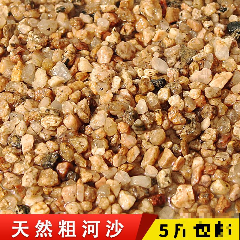 养花也讲究缘分，和花有缘的人，都有这5个特点