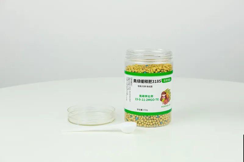 长寿花超全大养护，养爆盆的秘密，全在这里！