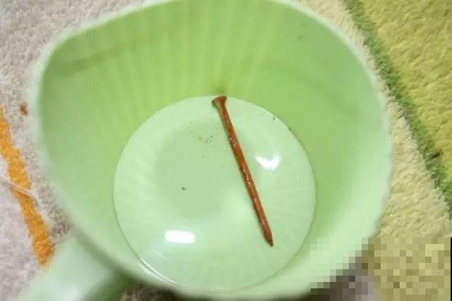 铁锈水浇花真的好用吗？看完这篇，养花才能不“踩雷”！