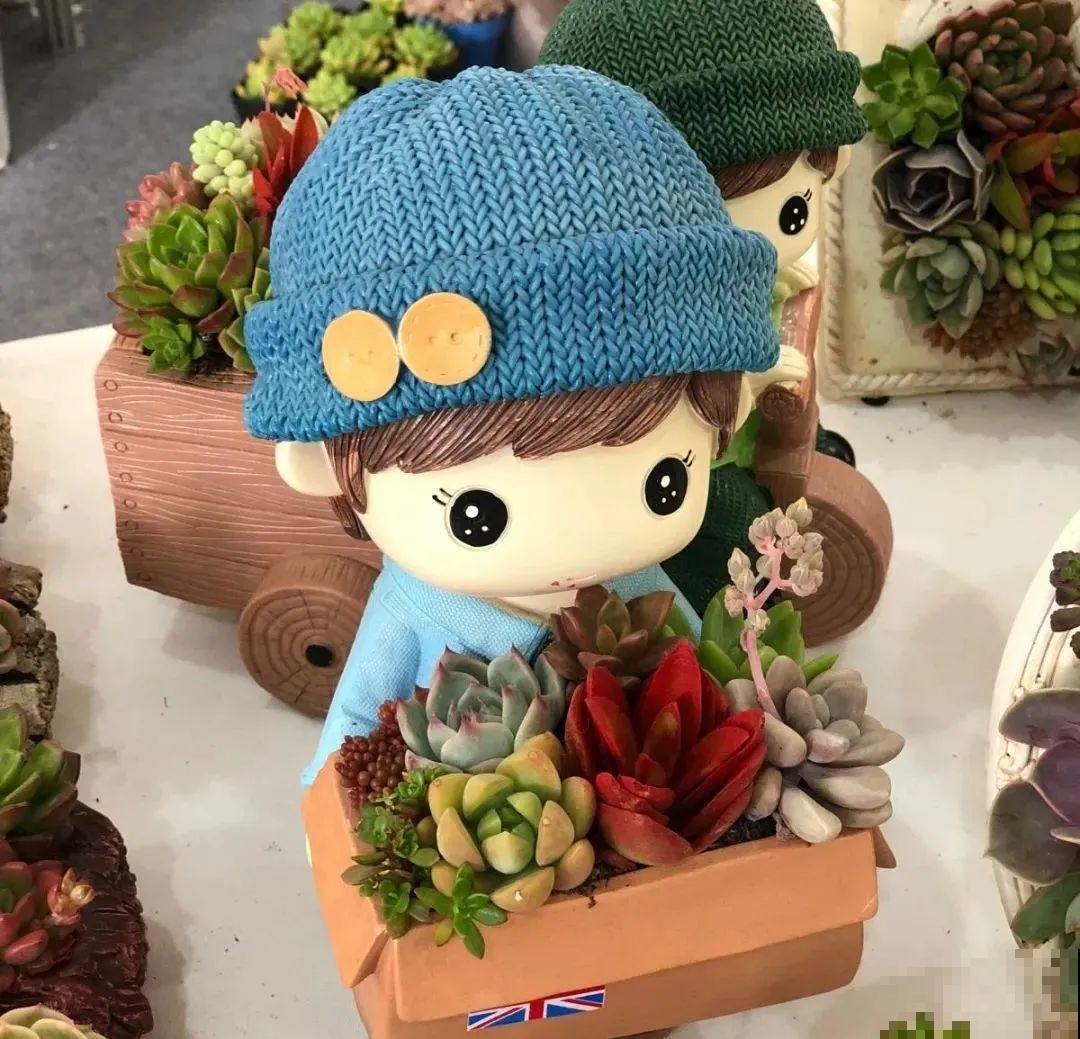 多肉塞进一个盆里，像是艺术品，颜值高了好几个档次！