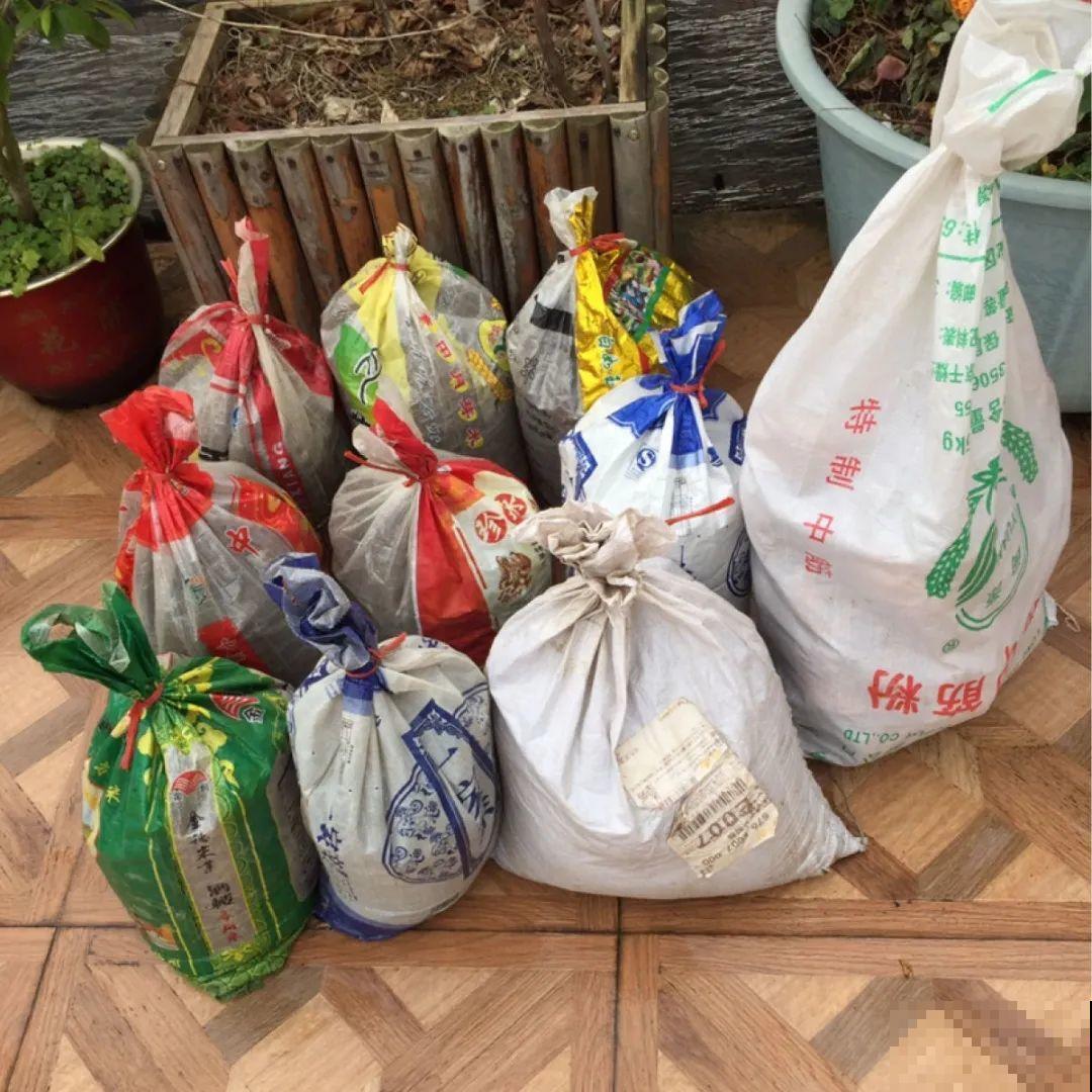 路边别人丢的大花盆，看着眼馋，好想捡回家