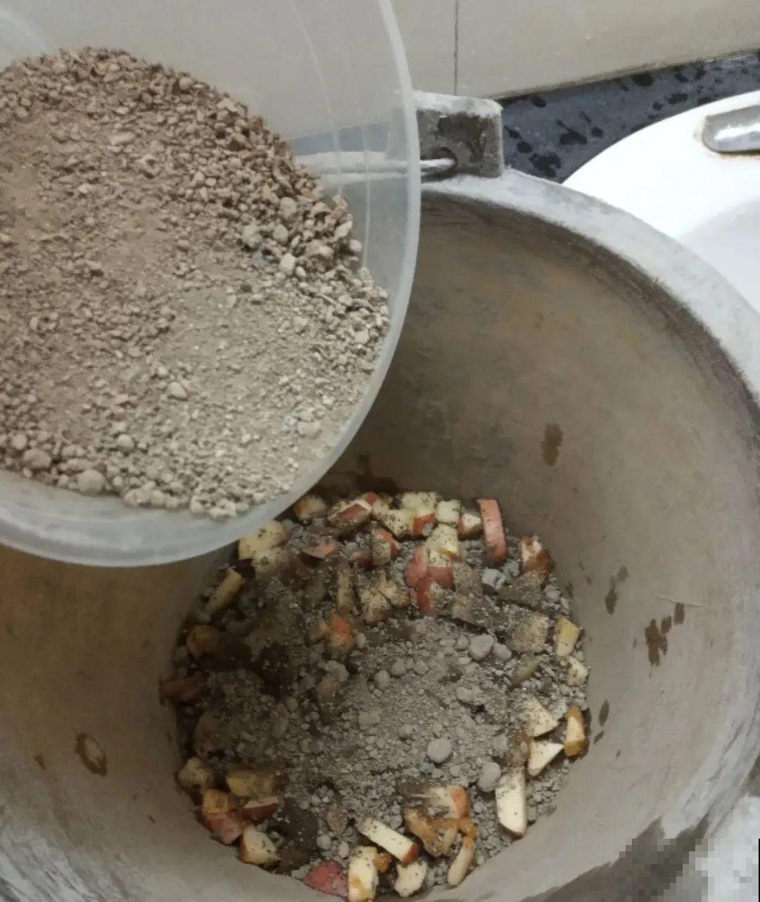 山上松果掉了一地,捡回家一袋子,拿来养花透气性超 山上松果掉了一地,捡回家一袋子,拿来养花透气性超