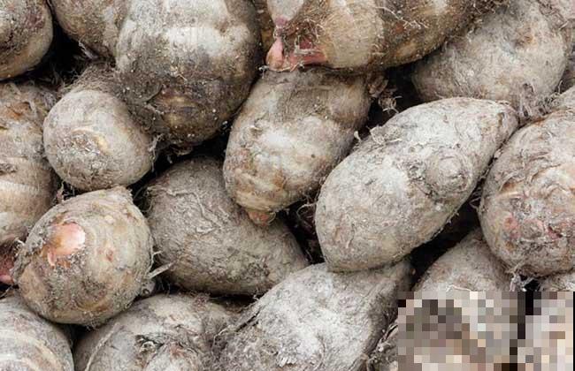 买芋头记住4要点，个个都好吃，又甜又糯特好吃