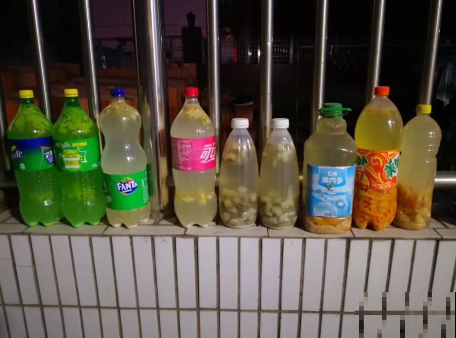 氮磷钾肥不用买，找点“垃圾”就能做，省下钱去吃大餐！