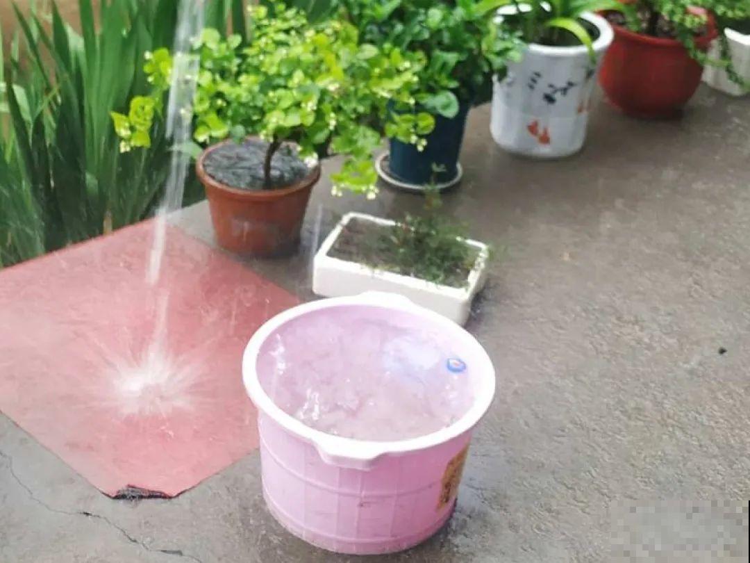 花盆里长了个“蛋”，赶紧换盆，否则必死无疑！