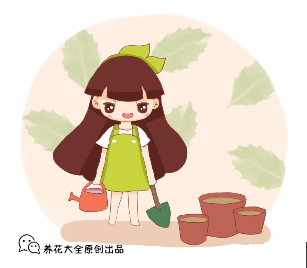 选花多多不用再纠结，用好这4种，才能真的“花多多”！