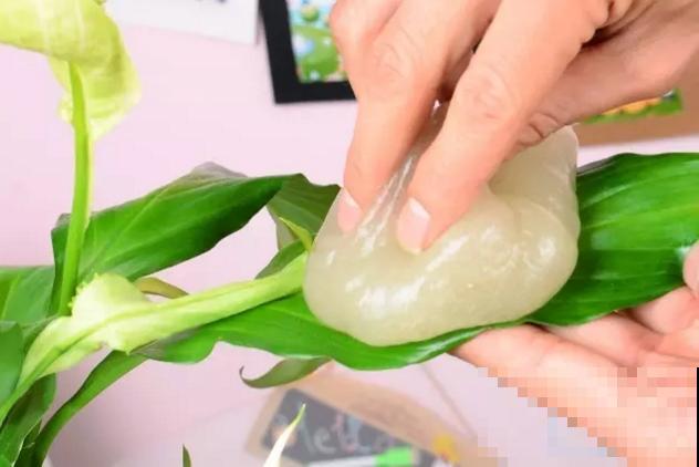 年前大扫除,别忘了给花卉也洗个澡,干净清爽又美观! 年前大扫除,别忘了给花卉也洗个澡,干净清爽又美观!