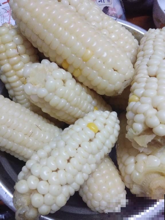 玉米种类越来越多,都有什么区别?选对了才能吃得健康 玉米种类越来越多,都有什么区别?选对了才能吃得健康