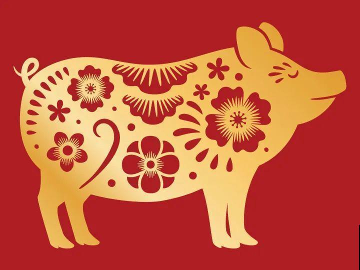 2021，十二生肖的运势，养什么花最旺？