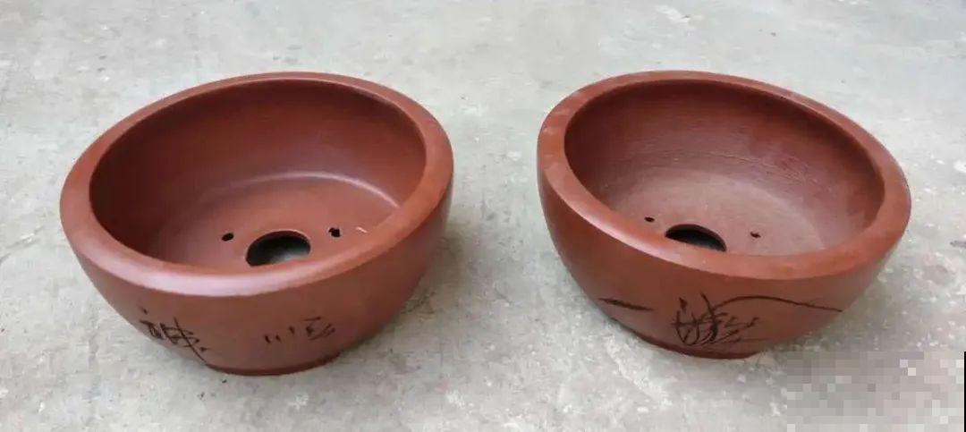 选不对花盆，啥花都被你养死了！