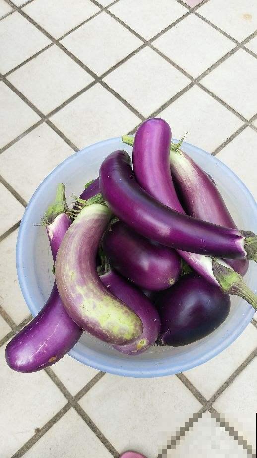 想减肥吃的健康是关键，还得搭配运动，才能健康减重