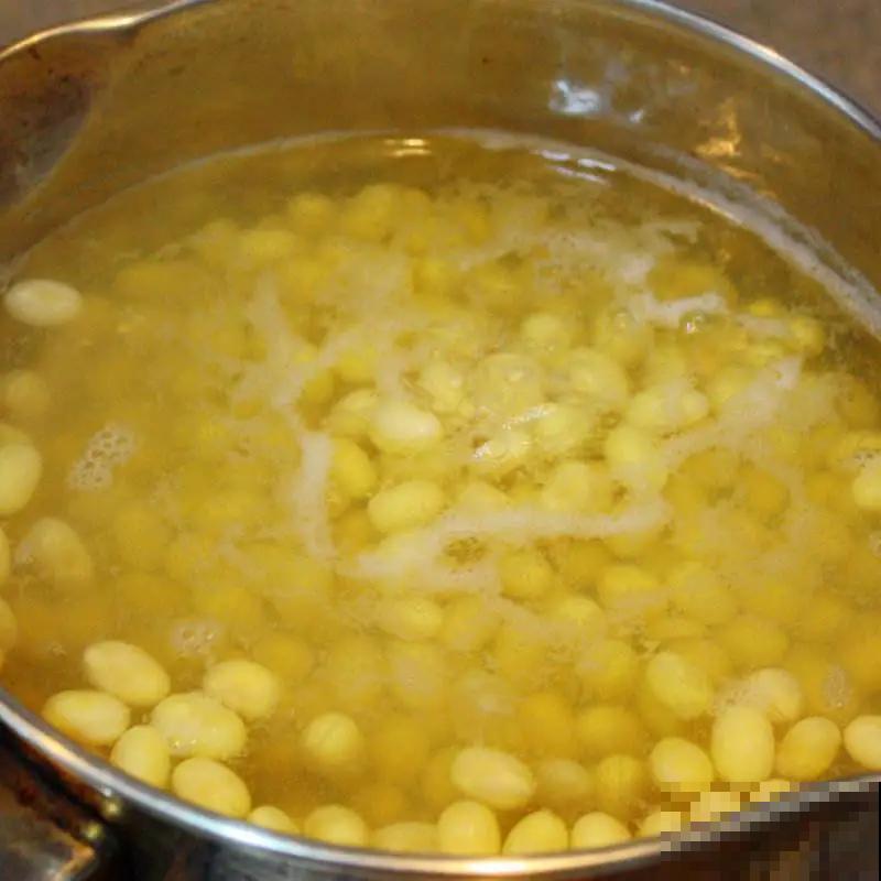 养花不用买肥料，在家自制氮肥，叶片油绿长得快！