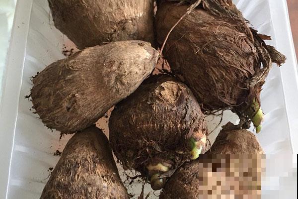 买芋头记住4要点，个个都好吃，又甜又糯特好吃
