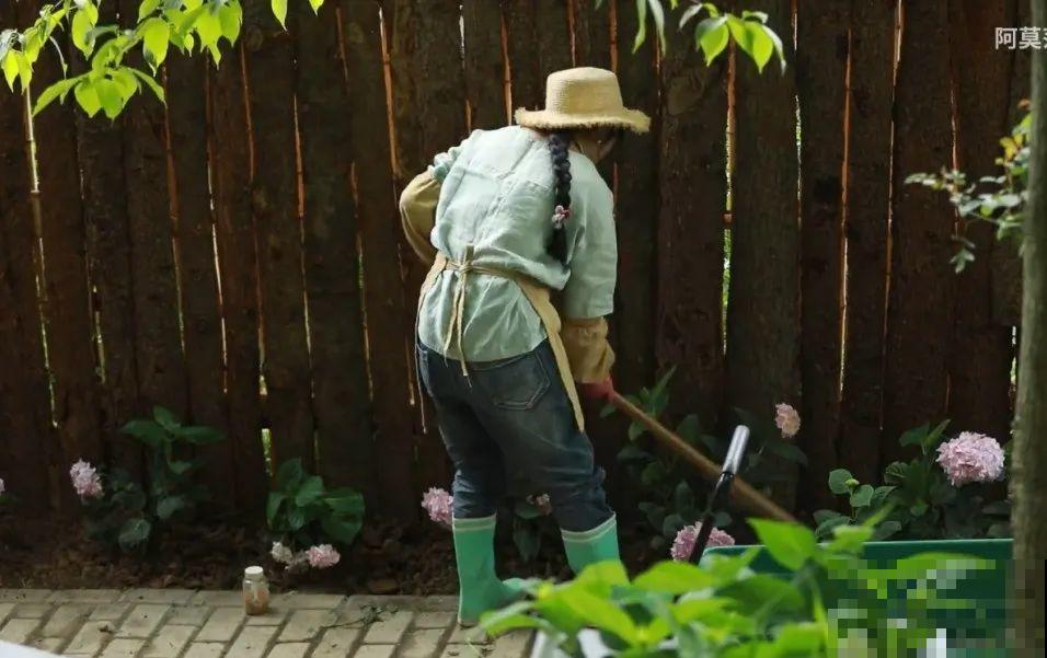 3年的时间，老院子变成大花园，过上塔莎奶奶一样的日子！