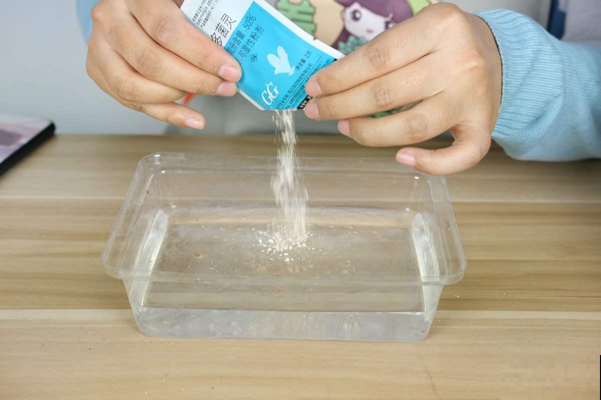 超级好看的葡萄风信子,记好这3点,猛爆“葡萄串” 超级好看的葡萄风信子,记好这3点,猛爆“葡萄串”