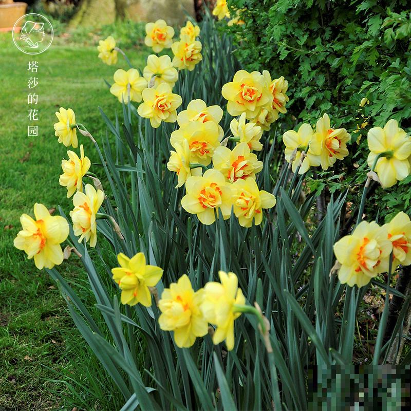 春天养花，最重要的是“准备”，要提前规划好