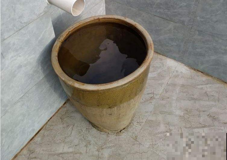 大水缸里面种花，花长得更健壮，养家里就是传家宝！