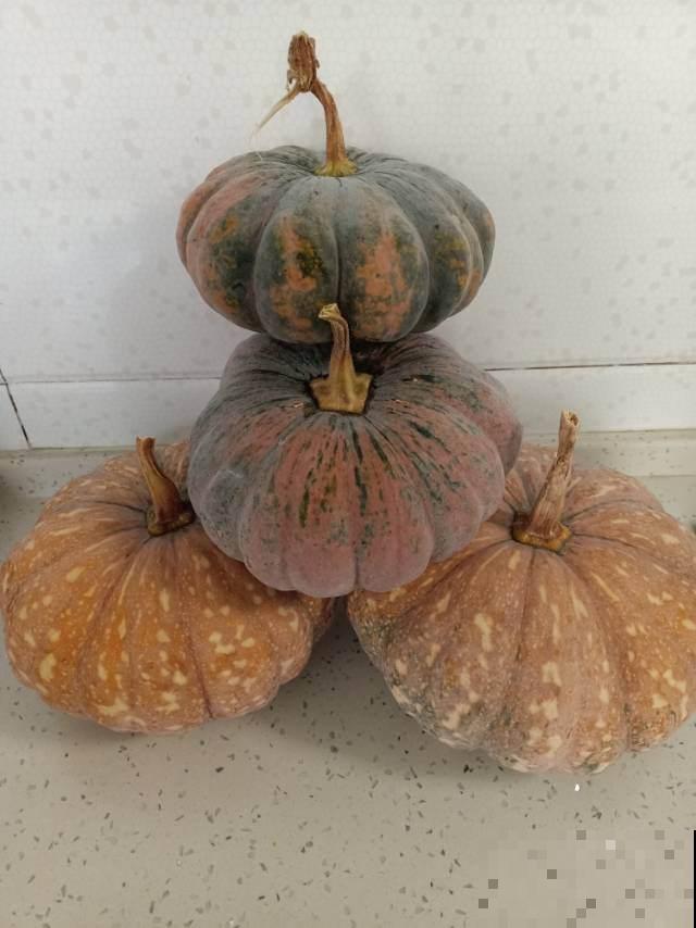 5种蔬菜适合冬天吃,含水量高,炒菜凉拌都好吃 5种蔬菜适合冬天吃,含水量高,炒菜凉拌都好吃