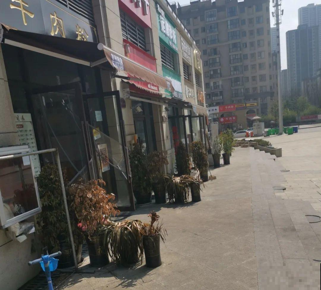 路边别人丢的大花盆，看着眼馋，好想捡回家