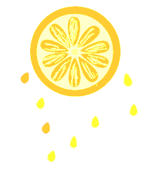 5位单身女性抱团养老，每天都是诗和远方，太那个羡慕了！