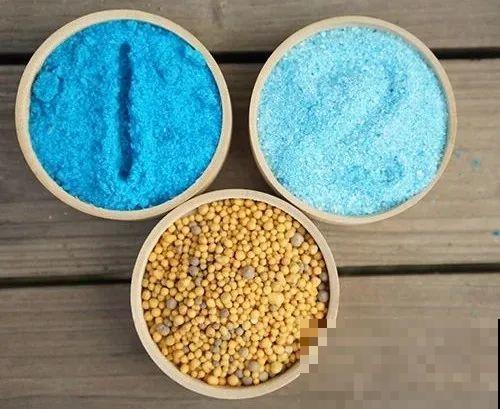 长寿花超全大养护，养爆盆的秘密，全在这里！