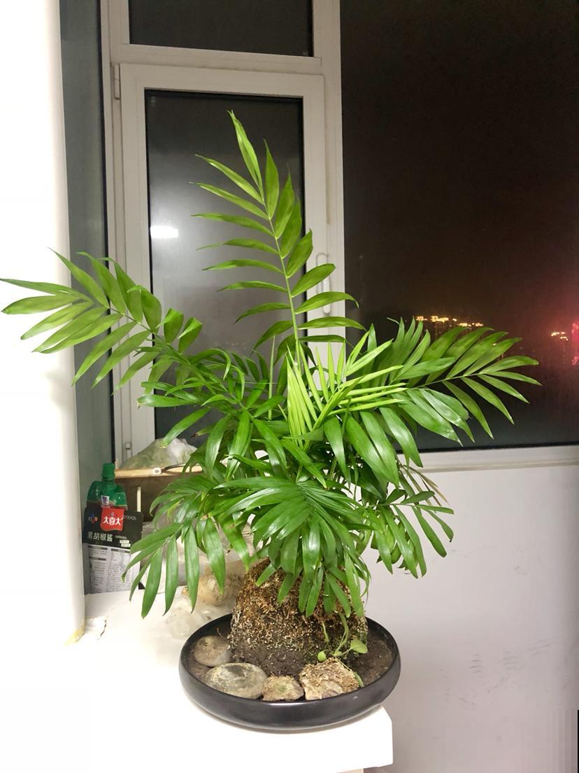 家里的两扇门，平时最好关上，有利于身心健康