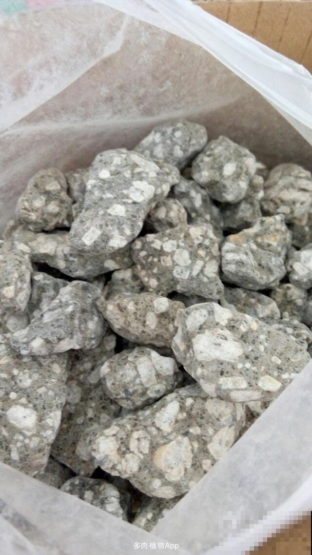 植物总是养不好？土里加这5种颗粒，再也不会黄叶烂根！