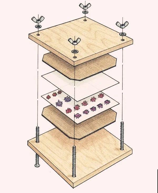 干花制作方法，学会了超实用，留住花儿美好