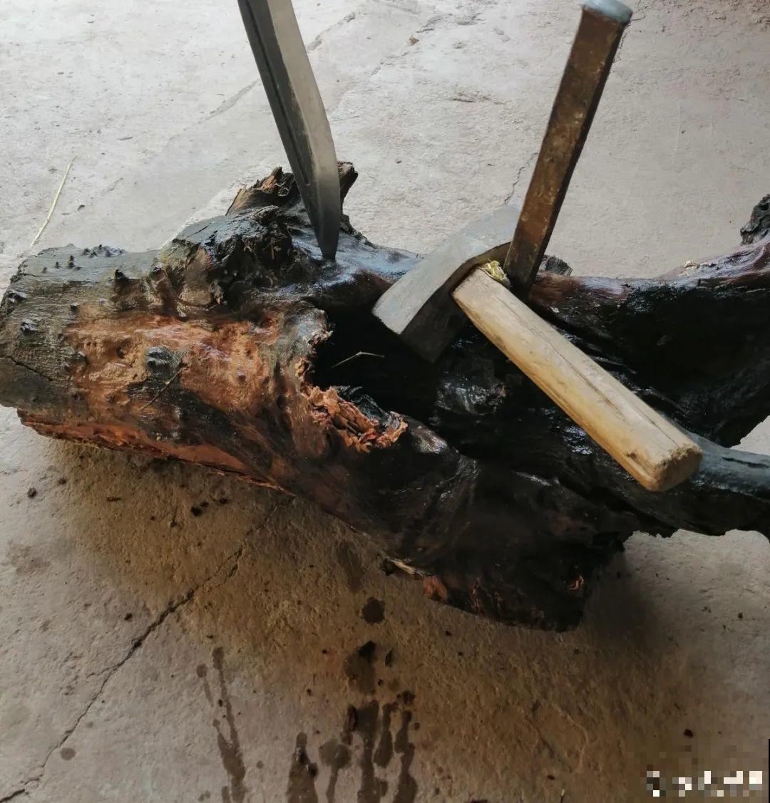 路边别人丢的大花盆，看着眼馋，好想捡回家