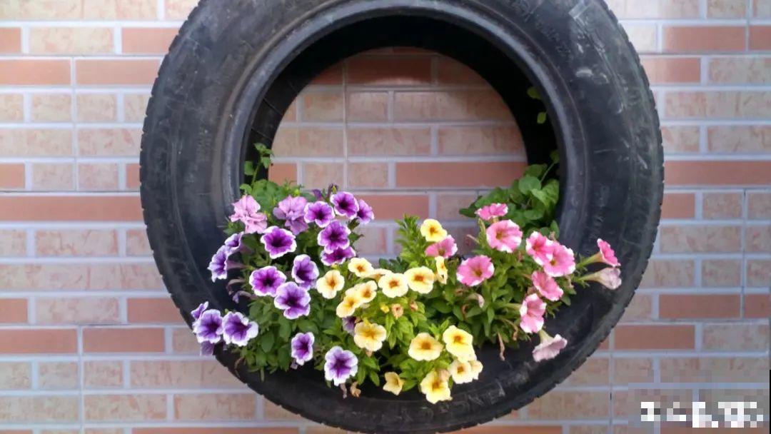 10个养花偏方,一般人我不告诉他,养花太好用 10个养花偏方,一般人我不告诉他,养花太好用