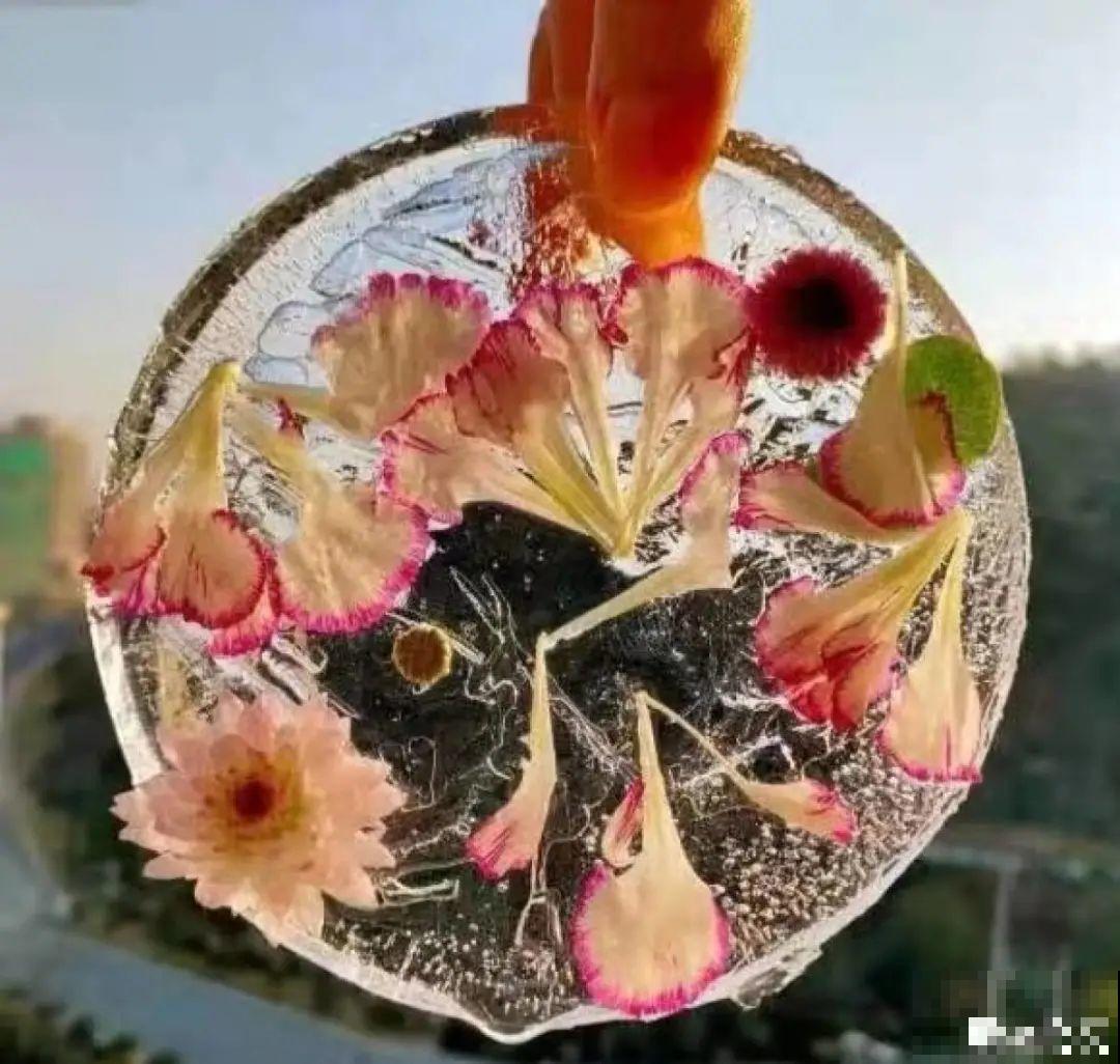 水里摆上花朵，室外冻一冻，简直美翻了！