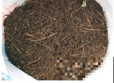 3种方法,碱性土轻松变酸性,植物越长越旺盛! 3种方法,碱性土轻松变酸性,植物越长越旺盛!