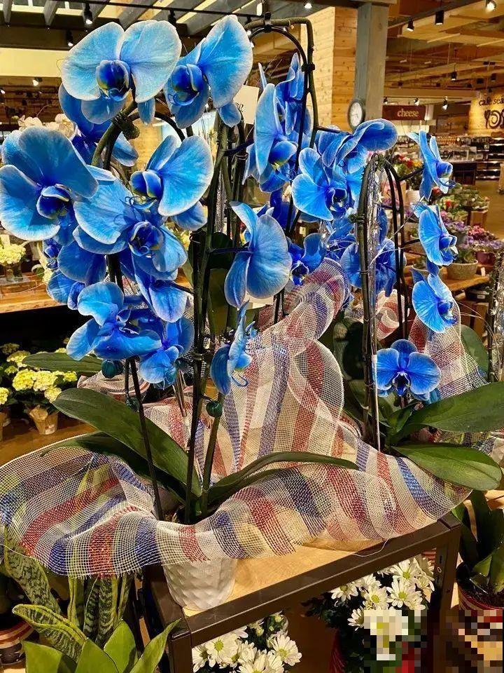 染色大葱？卫生纸一擦就掉色，真细思极恐